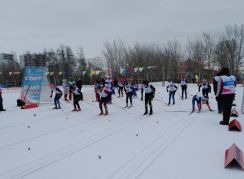 Выступления Красноярских динамовцев в лыжных гонках