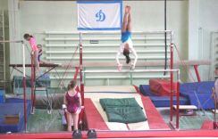 Итоги первенства России по спортивной гимнастике