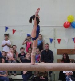 Красноярские динамовцы отметили Всероссийский день гимнастики
