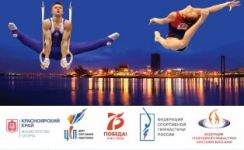 Выступление красноярских гимнастов