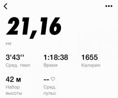 Красноярские динамовцы отметили День России онлайн забегом!