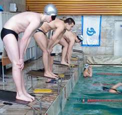 Лично-командный чемпионат КРО «Динамо» по плаванию