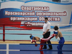 Красноярск: Отбор на Чемпионат России по кикбоксингу