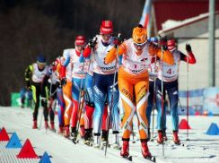 Красноярские динамовцы закончили  лыжный сезон на мажорной ноте…
