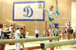 Спортивная  гимнастика «Юный динамовец»