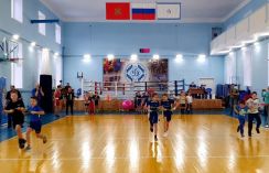 Детский спортивный праздник Красноярского «Динамо»