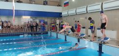 Итоги Чемпионата Красноярского «Динамо» по плаванию