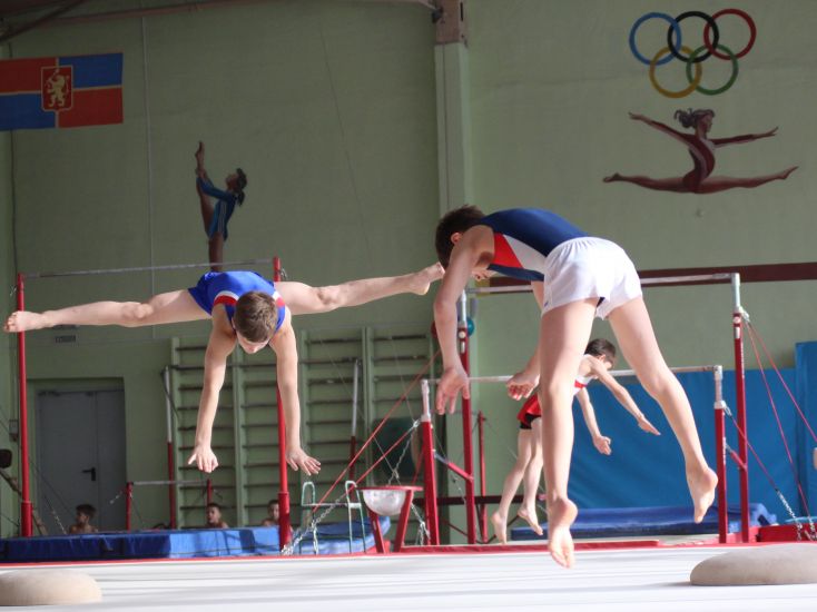 Всероссийский день гимнастики. Школа спортивной гимнастики Красноярск. Школа олимпийского резерва Красноярск спортивная гимнастика. Спортивная гимнастика Красноярск Шевчук. СДЮСШОР Красноярск спортивная гимнастика.